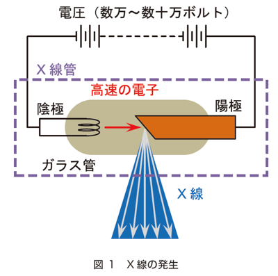 Xraygenri